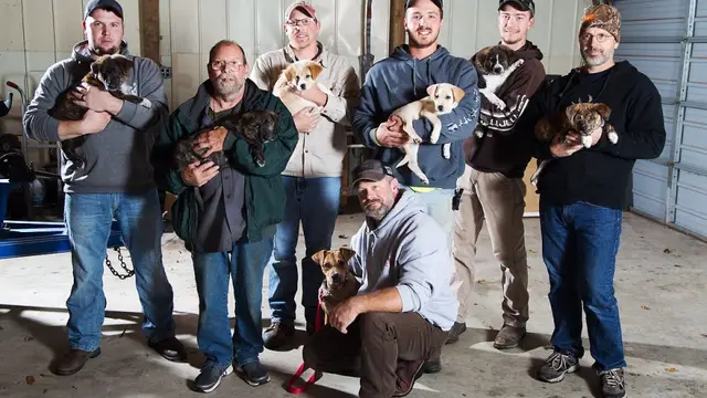 Fueron de despedida y acabaron con un cachorro