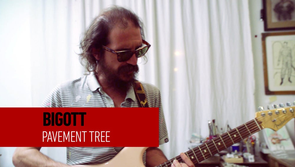  Bigott - Pavement Tree