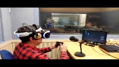 Frame 1.182258 de: Pedrerol de Ra&uacute;l P&eacute;rez en Europlay