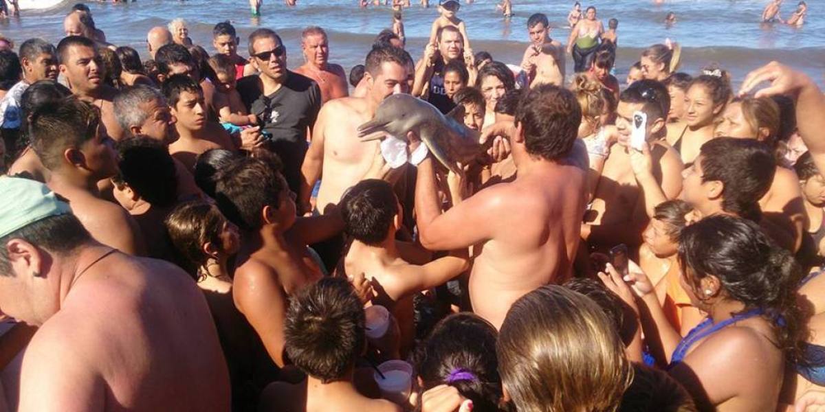 Una multitud intenta hacerse fotos con la cría de delfín