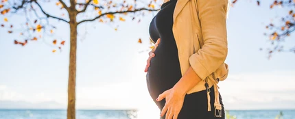 Mujer embarazada Mujer embarazada