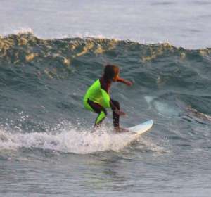 Surfeando junto a un tiburón blanco Surfeando junto a un tiburón blanco