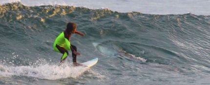 Surfeando junto a un tiburón blanco