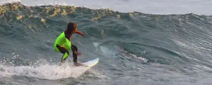 Surfeando junto a un tiburón blanco Surfeando junto a un tiburón blanco
