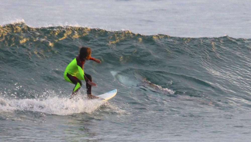 Surfeando junto a un tiburón blanco