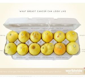 Conoce tus limones Conoce tus limones