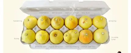 Conoce tus limones Conoce tus limones