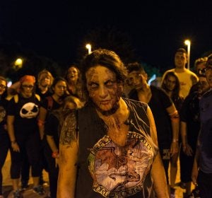 Survival Zombie Survival Zombie