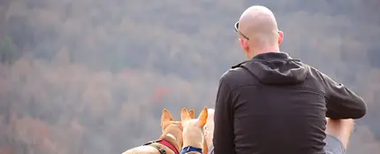 Un hombre hace senderismo con sus perros Un hombre hace senderismo con sus perros