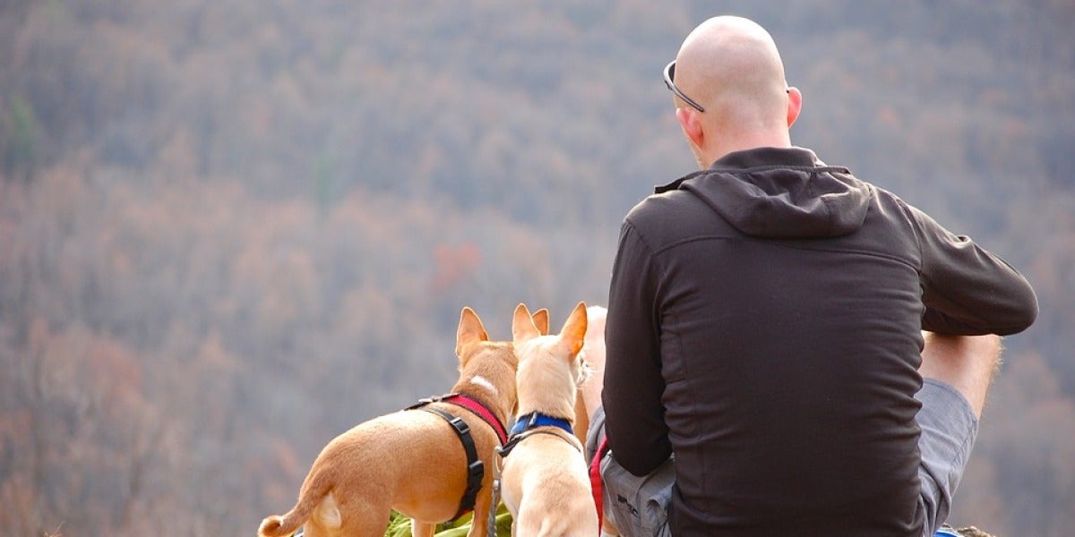 Un hombre hace senderismo con sus perros