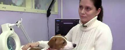 La dueña junto al perro La dueña junto al perro