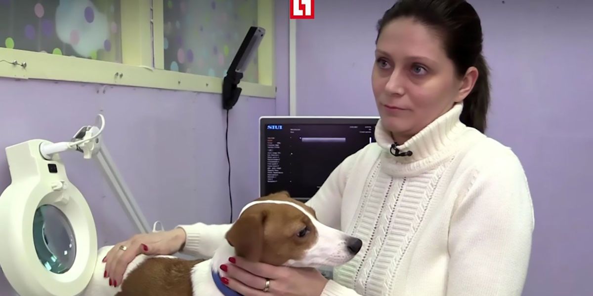 La dueña junto al perro
