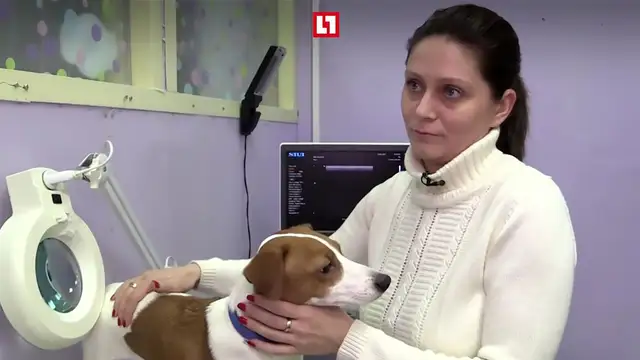 La dueña junto al perro