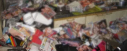 Seis toneladas de revistas porno matan a un japonés Seis toneladas de revistas porno matan a un japonés