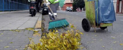 Un barrendero barriendo las hojas de los árboles Un barrendero barriendo las hojas de los árboles