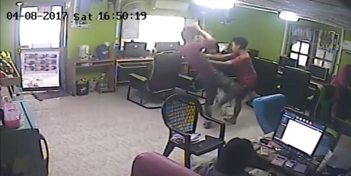 Una serpiente ataca a un joven en Tailandia