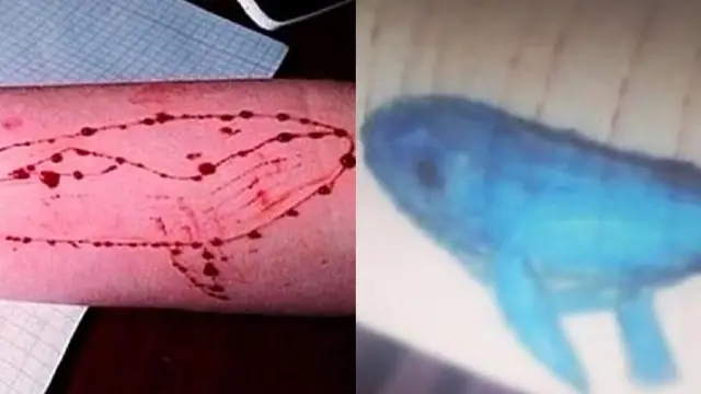Juego de la 'ballena azul'