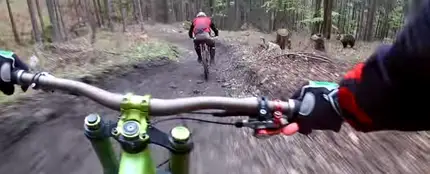 Se cruza en el camino de un oso Se cruza en el camino de un oso