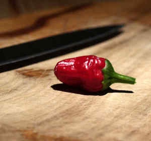 El chile más picante del mundo El chile más picante del mundo