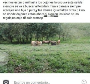Anuncio: "se regalan vacas" Anuncio: "se regalan vacas"