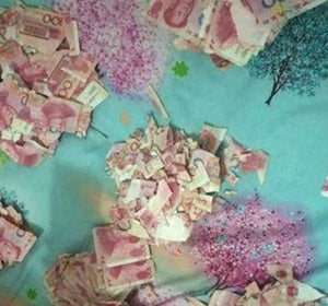 Los pedazos de los billetes Los pedazos de los billetes