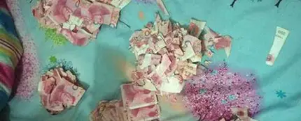 Los pedazos de los billetes Los pedazos de los billetes