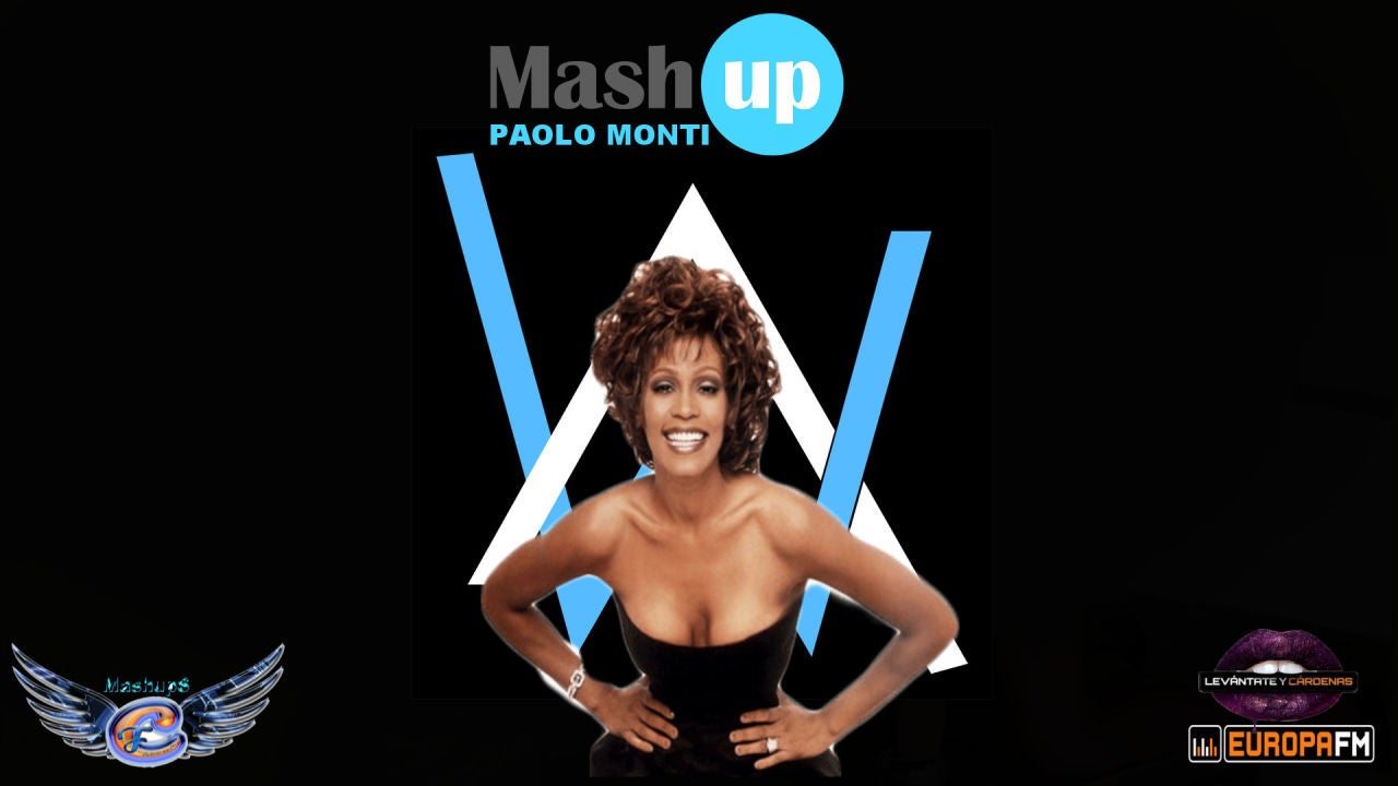 Mashup: Whitney Houston VS Alan Walker