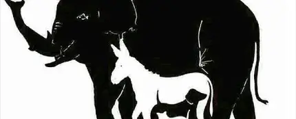 El reto visual de los animales El reto visual de los animales