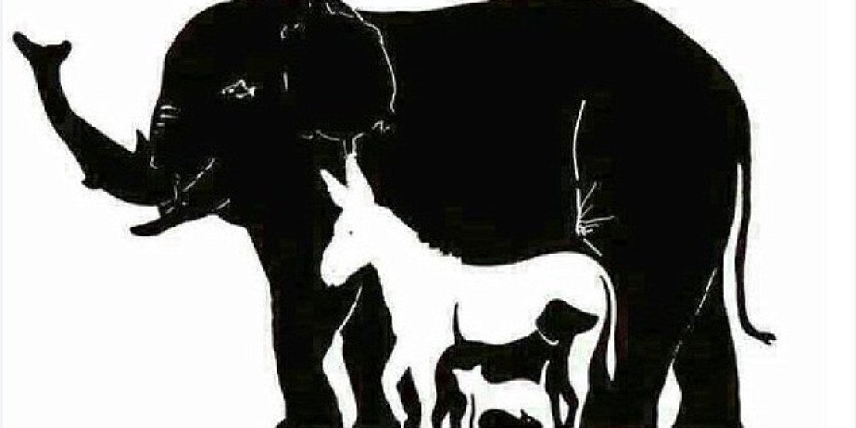 El reto visual de los animales