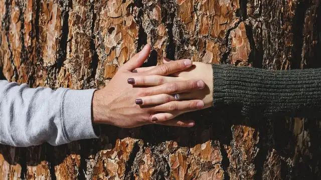 Amor a la naturaleza