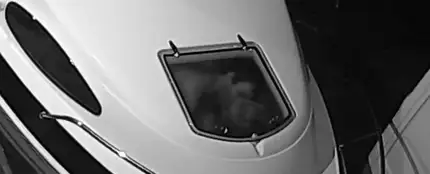 Roban en su barca y graba a los ladrones practicando sexo dentro Roban en su barca y graba a los ladrones practicando sexo dentro