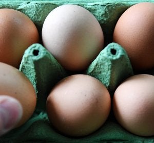 Los huevos contaminados han llegado a Rumanía Los huevos contaminados han llegado a Rumanía