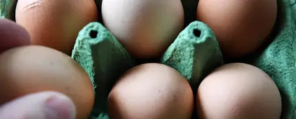 Los huevos contaminados han llegado a Rumanía Los huevos contaminados han llegado a Rumanía
