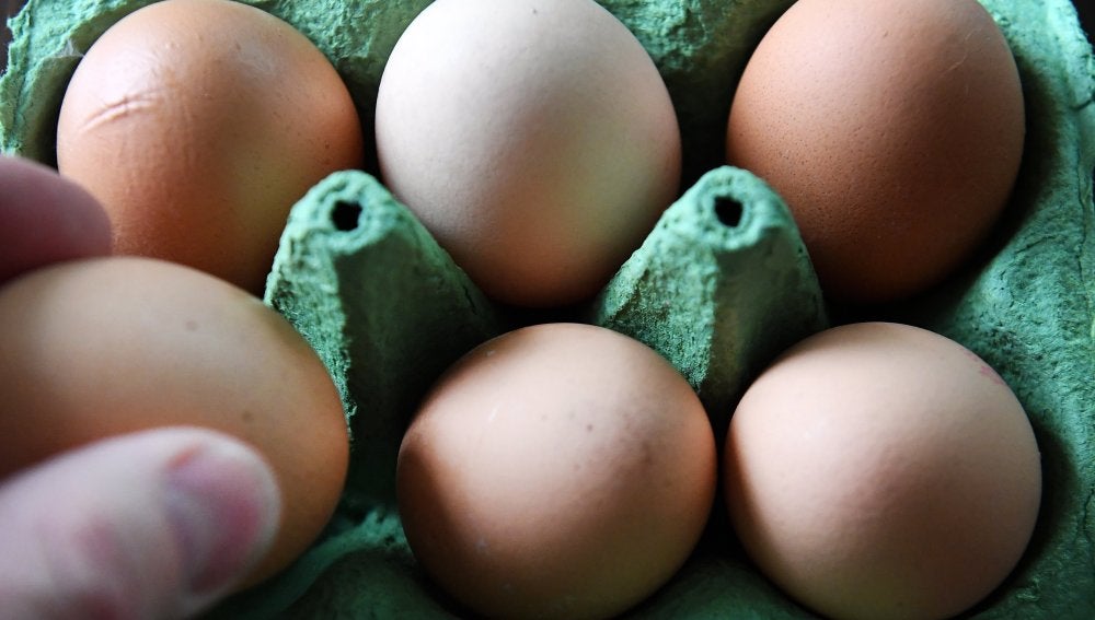 Los huevos contaminados han llegado a Rumanía