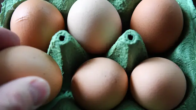 Los huevos contaminados han llegado a Rumanía