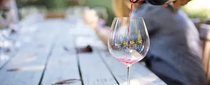 Copa de vino Copa de vino
