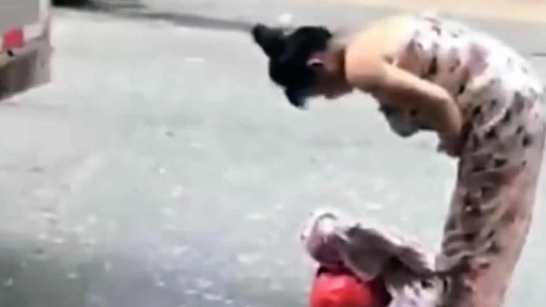Mujer de parto en plena calle Mujer de parto en plena calle