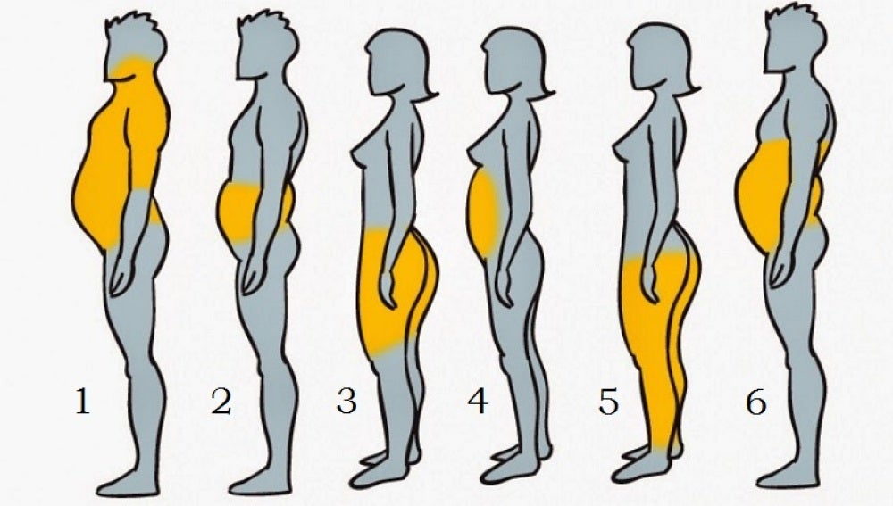 Existen 6 tipos de grasa descubre cómo eliminar cada una de tu cuerpo | Europa