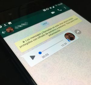 Notas de voz de Whatsapp Notas de voz de Whatsapp