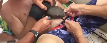 Captura del tiburón mordiendo a su víctima Captura del tiburón mordiendo a su víctima