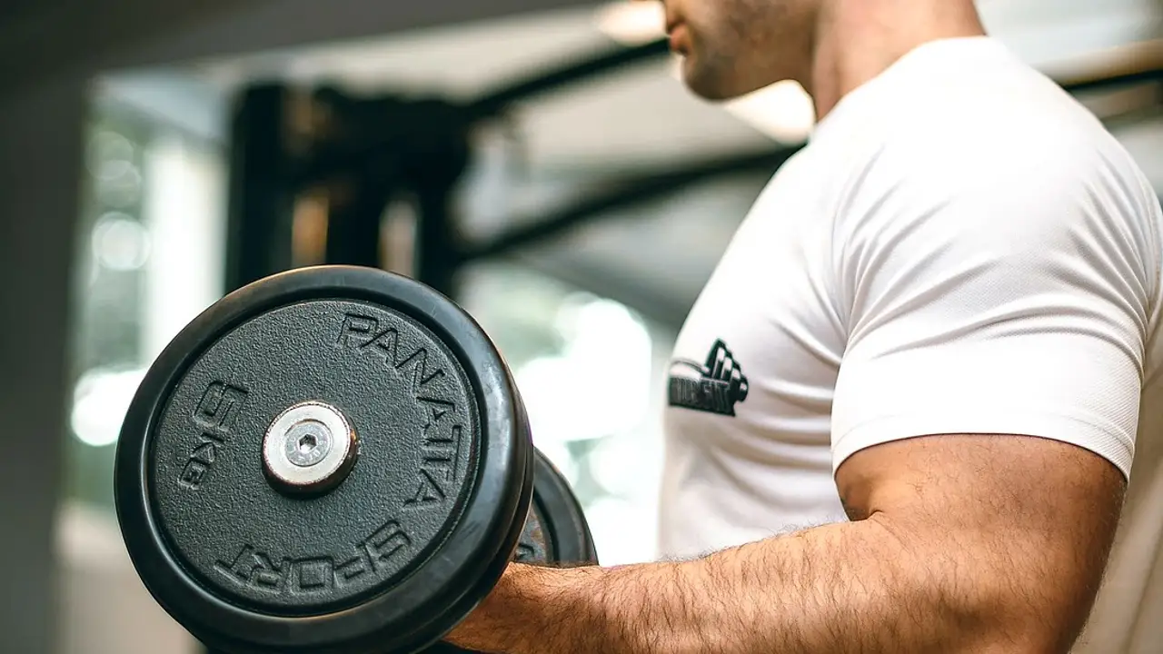 Una temporada con los cachas del gimnasio Una temporada con los cachas del gimnasio