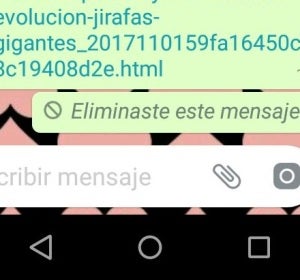 Borrar los mensajes en whatsapp falla Borrar los mensajes en whatsapp falla