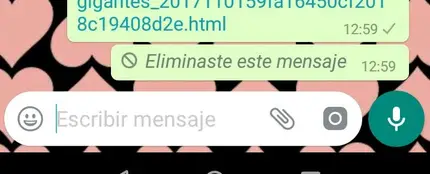 Borrar mensajes en WhatsApp Borrar mensajes en WhatsApp