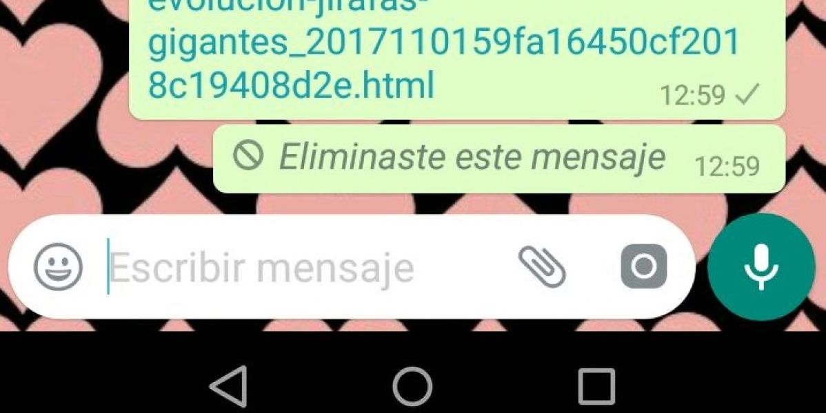 Borrar los mensajes en whatsapp falla