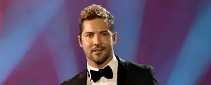 David Bisbal en la gala homenaje a Alejandro Sanz David Bisbal en la gala homenaje a Alejandro Sanz