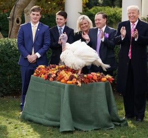 Uno de los pavos indultados por Trump Uno de los pavos indultados por Trump