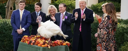 Uno de los pavos indultados por Trump Uno de los pavos indultados por Trump