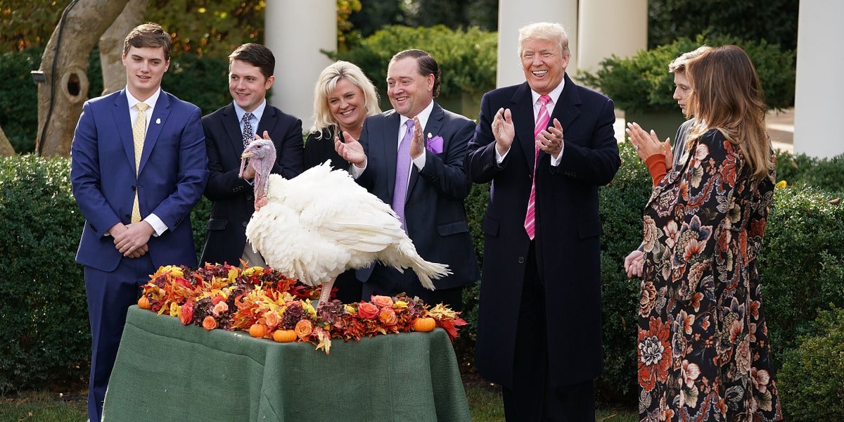 Uno de los pavos indultados por Trump