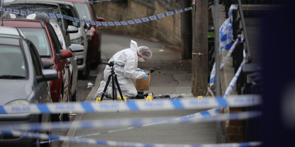 Forenses