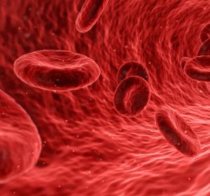 Foto ampliada de los glóbulos rojos de la sangre Foto ampliada de los glóbulos rojos de la sangre